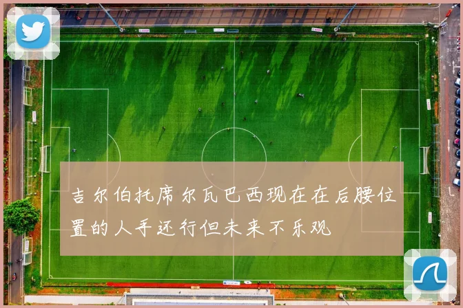 吉尔伯托席尔瓦巴西现在在后腰位置的人手还行但未来不乐观